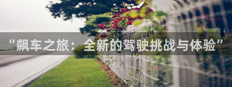 杏宇娱乐平台最新版下载