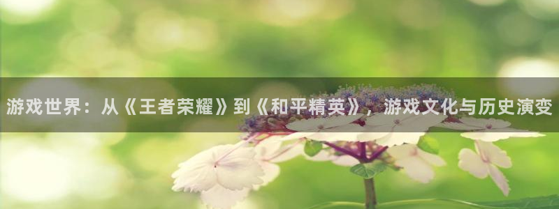 杏宇：游戏世界：从《王者荣耀》到《和平精英》，游戏文化与历史