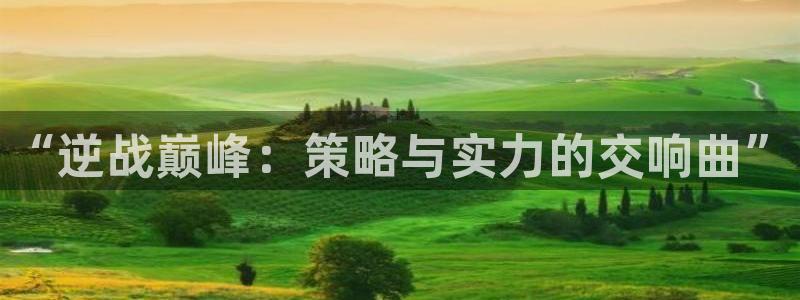 杏宇平台代理注册：“逆战巅峰：策略与实力的交响曲”