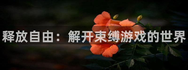 杏宇娱乐登录官网下载