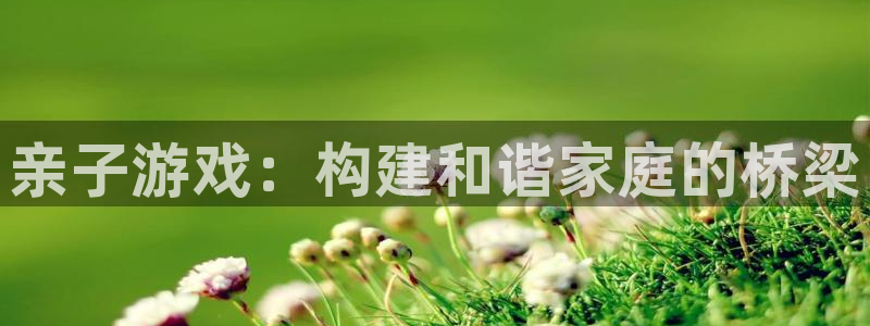 杏宇平台注册地址在哪里看到