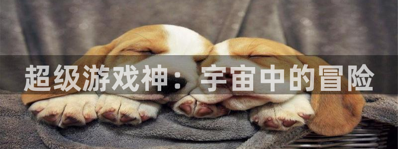 杏宇娱乐登录官网