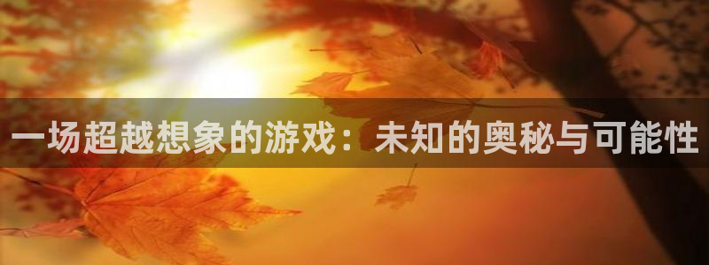 杏宇平台代理注册：一场超越想象的游戏：未知的奥秘与可能性