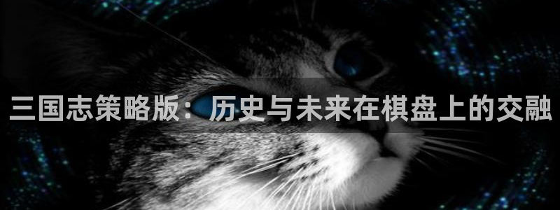 杏宇娱乐登录官网入口网址：三国志策略版：历史与未来在棋盘上的