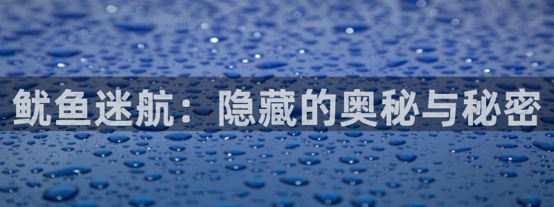 杏宇平台登陆：鱿鱼迷航：隐藏的奥秘与秘密