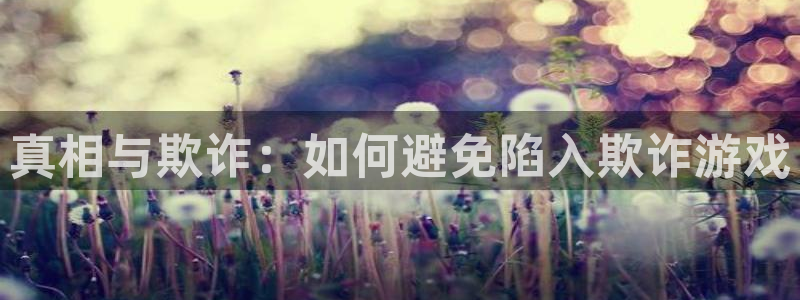 杏宇平台登陆入口地址