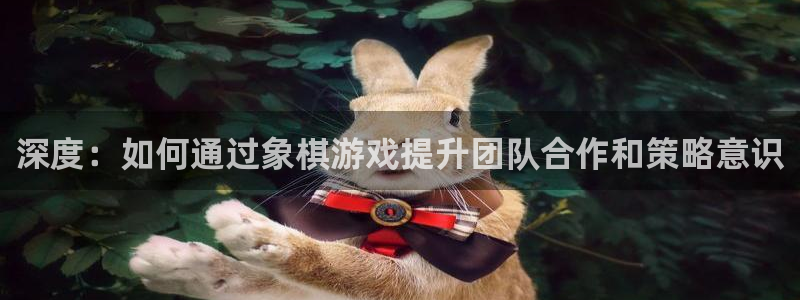 杏宇娱乐登录官网入口：深度：如何通过象棋游戏提升团队合作和策