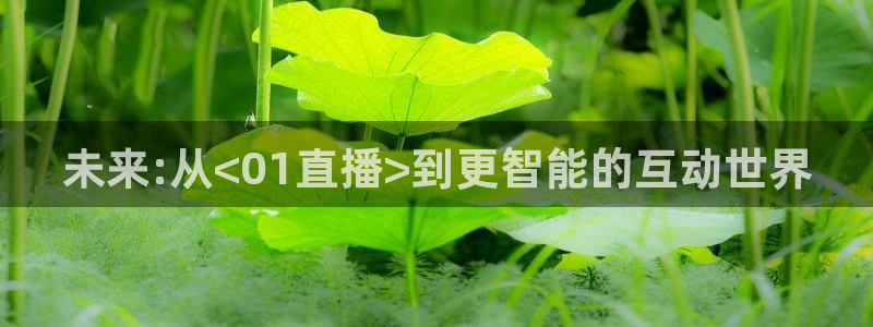 飞速直播nba直播