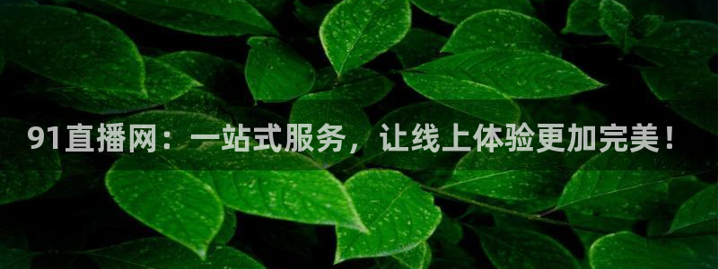 飞速直播nba免费观看：91直播网：一站式服务，让线上体验更加完美！