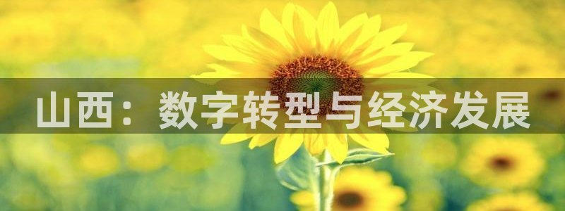 飞速足球直播吧：山西：数字转型与经济发展