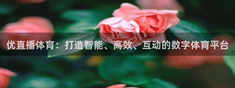 nba直播吧无插件版飞速：优直播体育：打造智能、高效、互动的数字体育平台