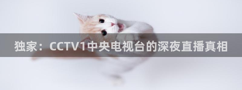 飞速体育直播\'：独家：CCTV1中央电视台的深夜直播真相